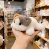 Very precious, soft and fragrant, three-flower cat, magnetic fridge magnet, plush doll, toy table companion doll, cute and fun, ideal for gifting, magnetic plush doll, switch decoration, home cute wall-mounted style details Picture